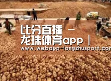 种植基地二