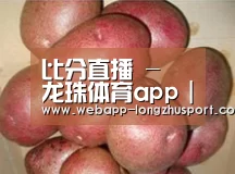 产品展示标题1