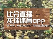 种植基地七