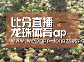 种植基地八(图1)