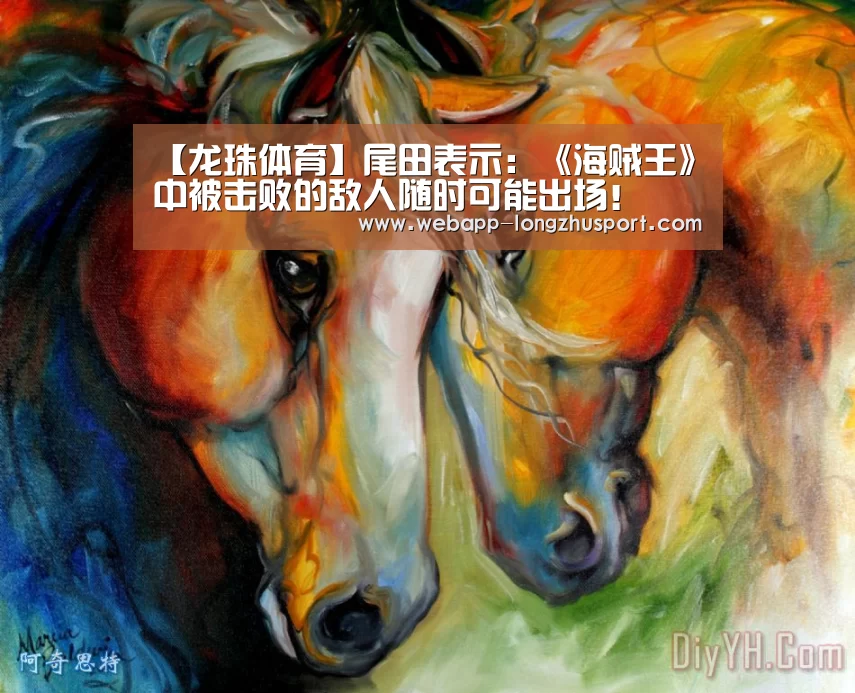 龙珠体育体育