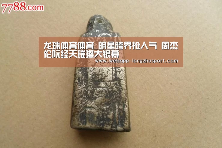 龙珠体育体育