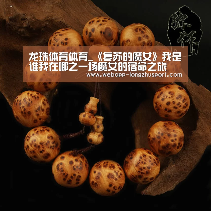 龙珠体育