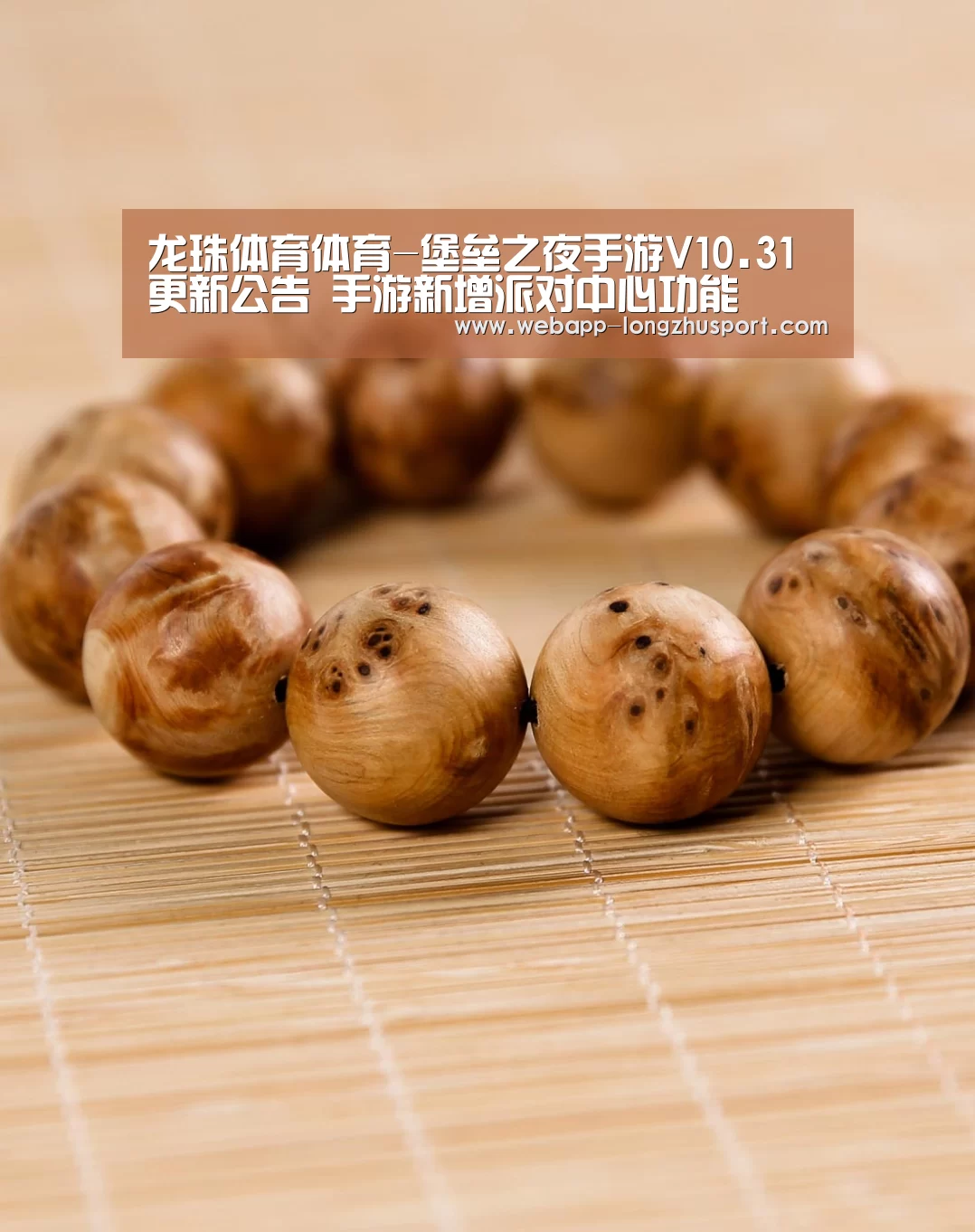 龙珠体育体育