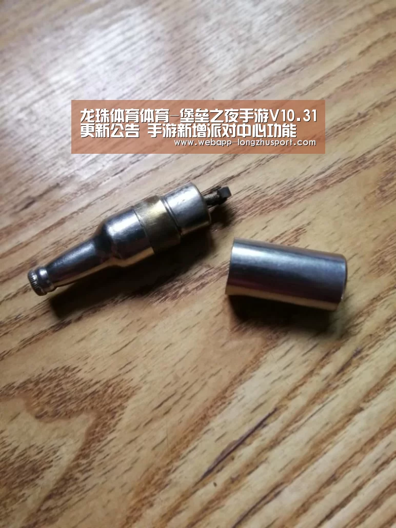 龙珠体育体育