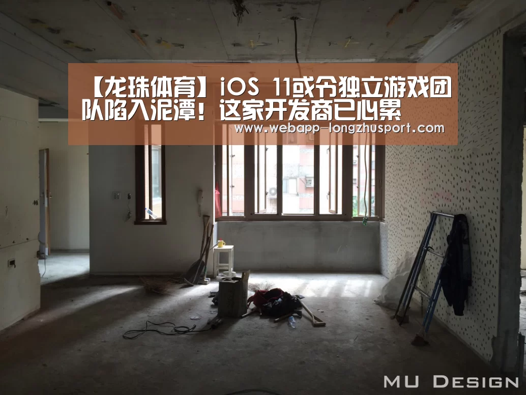 龙珠体育体育