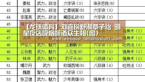 龙珠体育体育