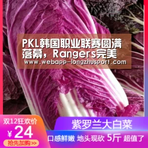 PKL韩国职业联赛圆满落幕,Rangers完美表现勇夺桂冠_龙珠体育体育(图2) 龙珠体育体育