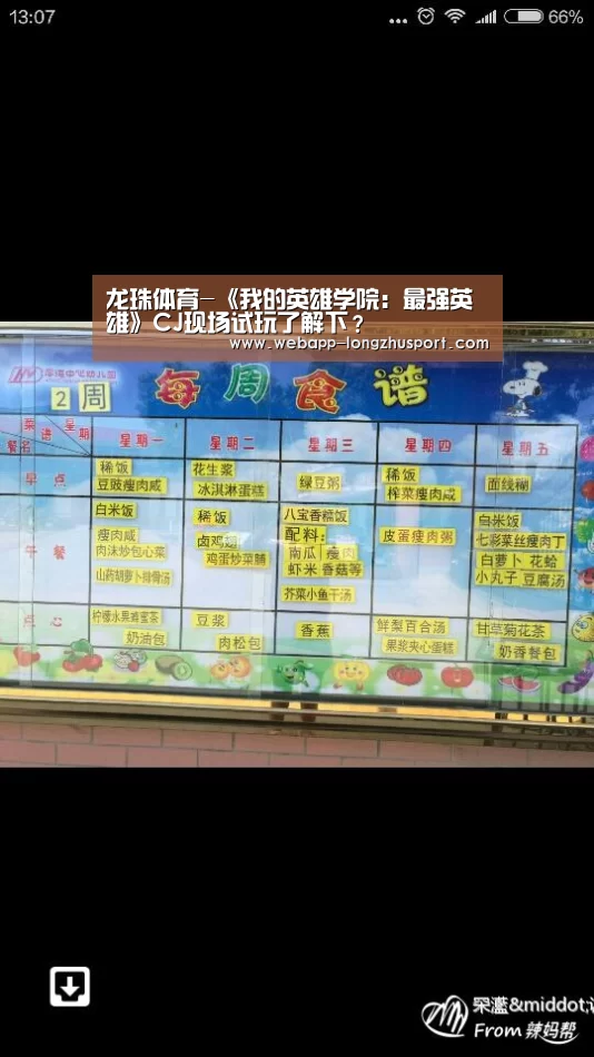 龙珠体育