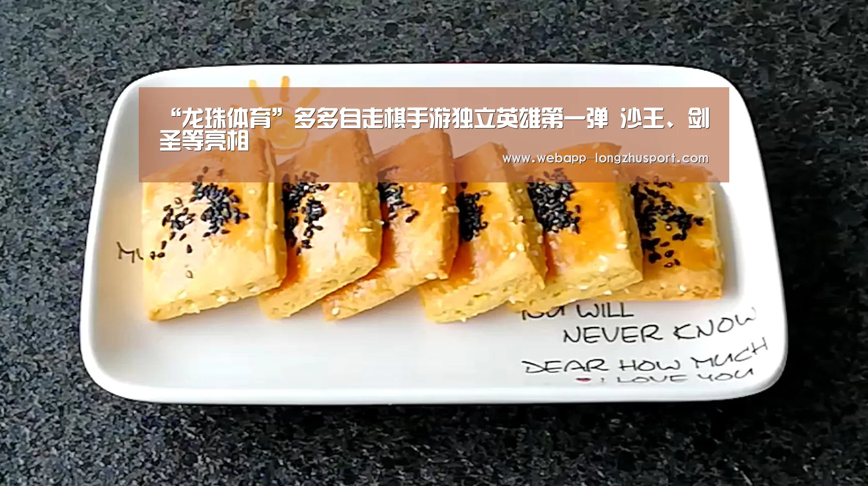 龙珠体育体育