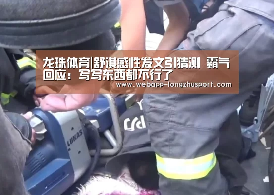 龙珠体育