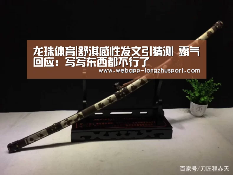 龙珠体育体育