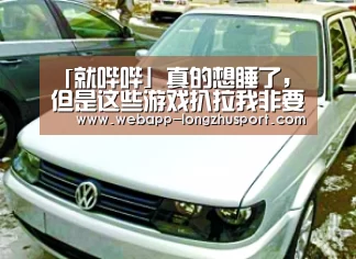 龙珠体育体育