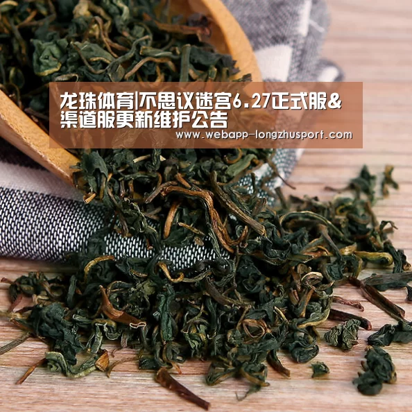 龙珠体育体育