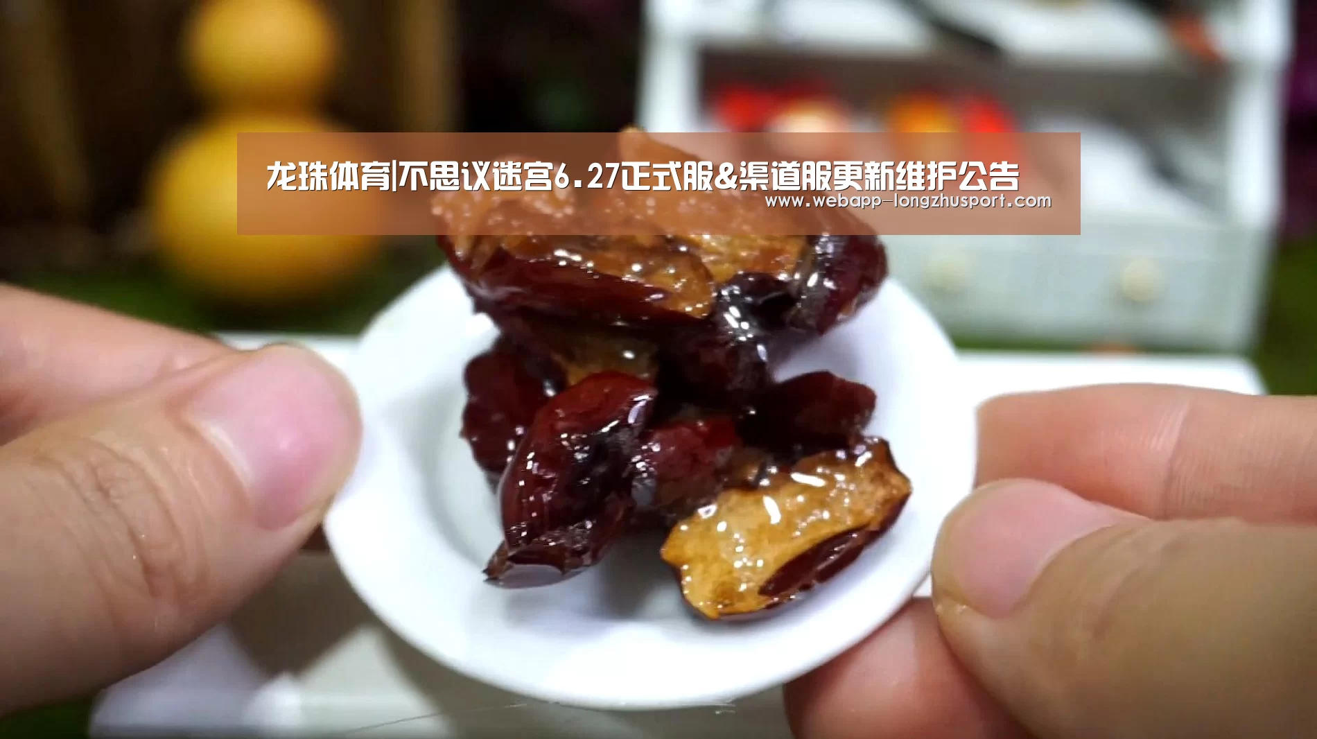 龙珠体育