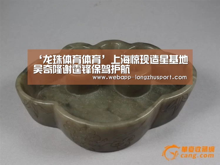 龙珠体育体育