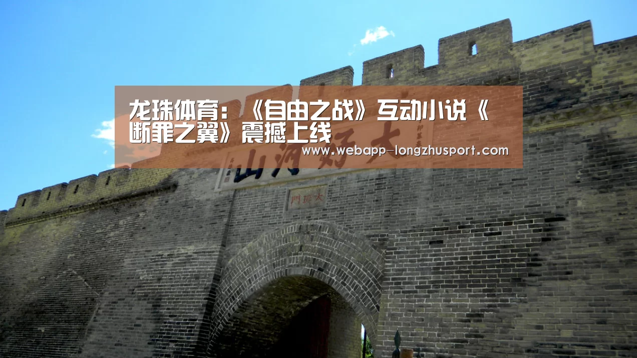 龙珠体育体育