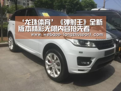 龙珠体育体育