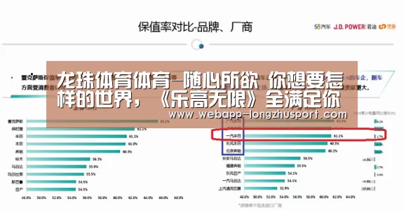 龙珠体育体育