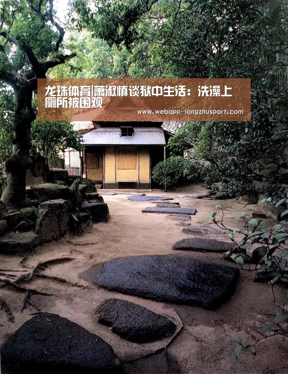 龙珠体育|萧淑慎谈狱中生活:洗澡上厕所被围观(图4) 龙珠体育体育