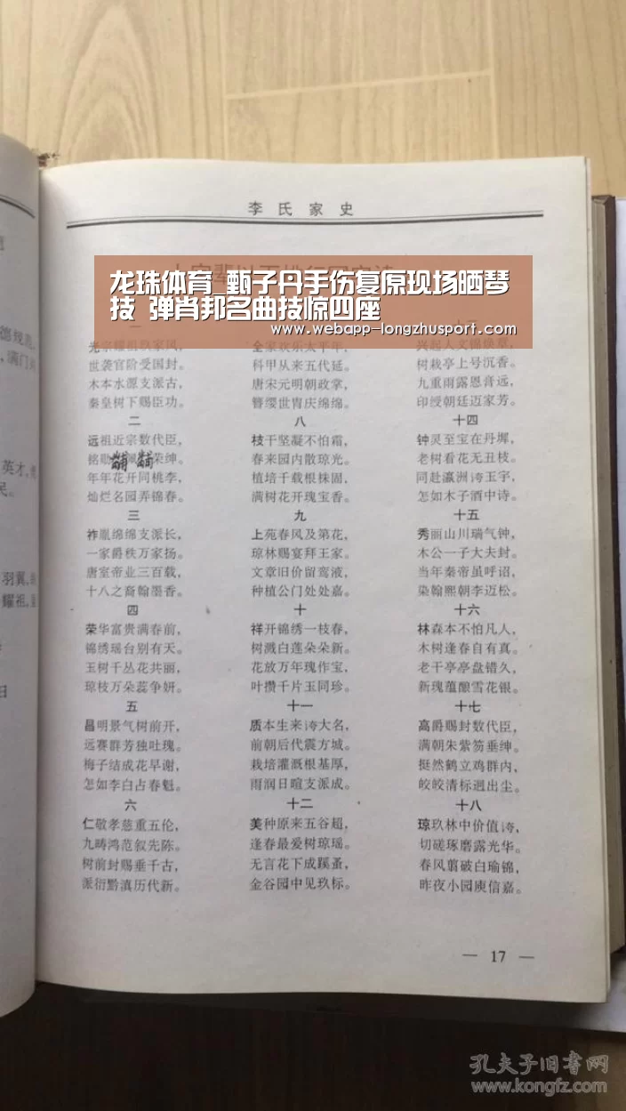 龙珠体育体育