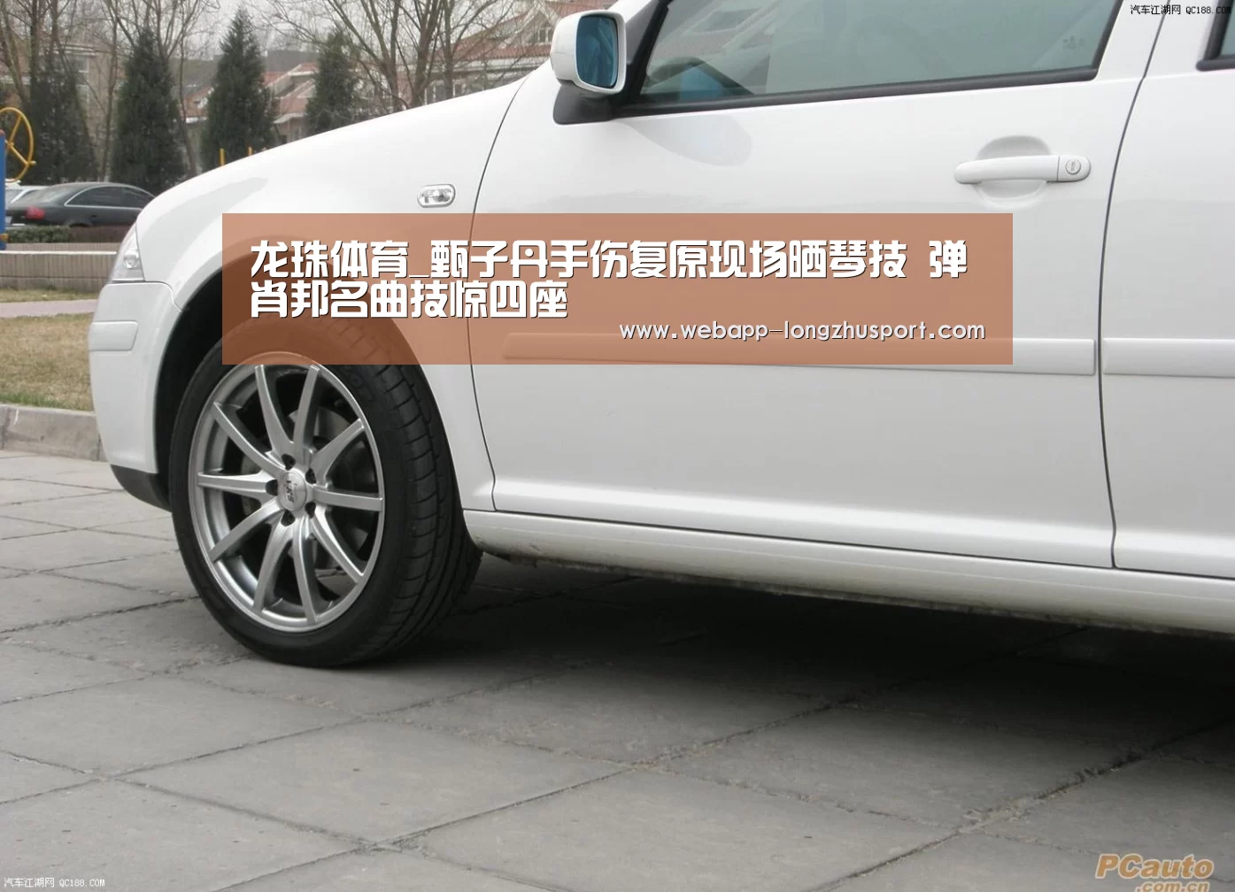 龙珠体育