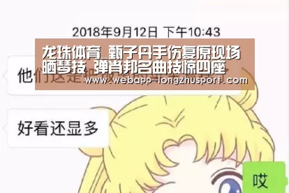 龙珠体育体育