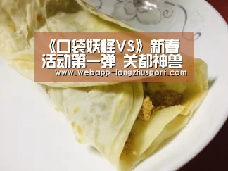 龙珠体育
