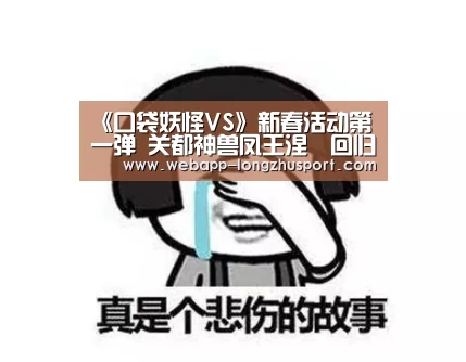 龙珠体育体育
