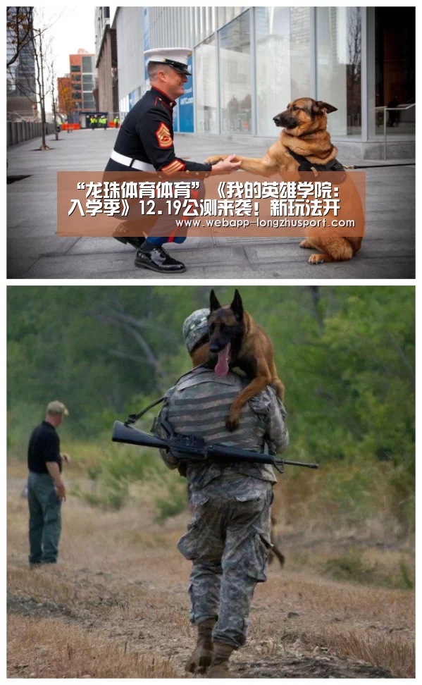 “龙珠体育体育”《我的英雄学院:入学季》12.19公测来袭!新玩法开启!(图3) 龙珠体育体育