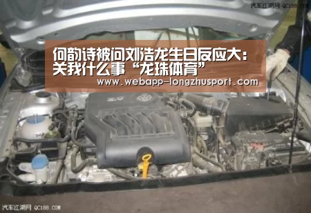 何韵诗被问刘浩龙生日反应大:关我什么事“龙珠体育”(图1) 龙珠体育体育