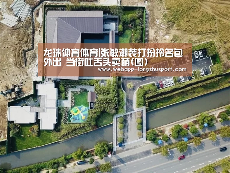 龙珠体育
