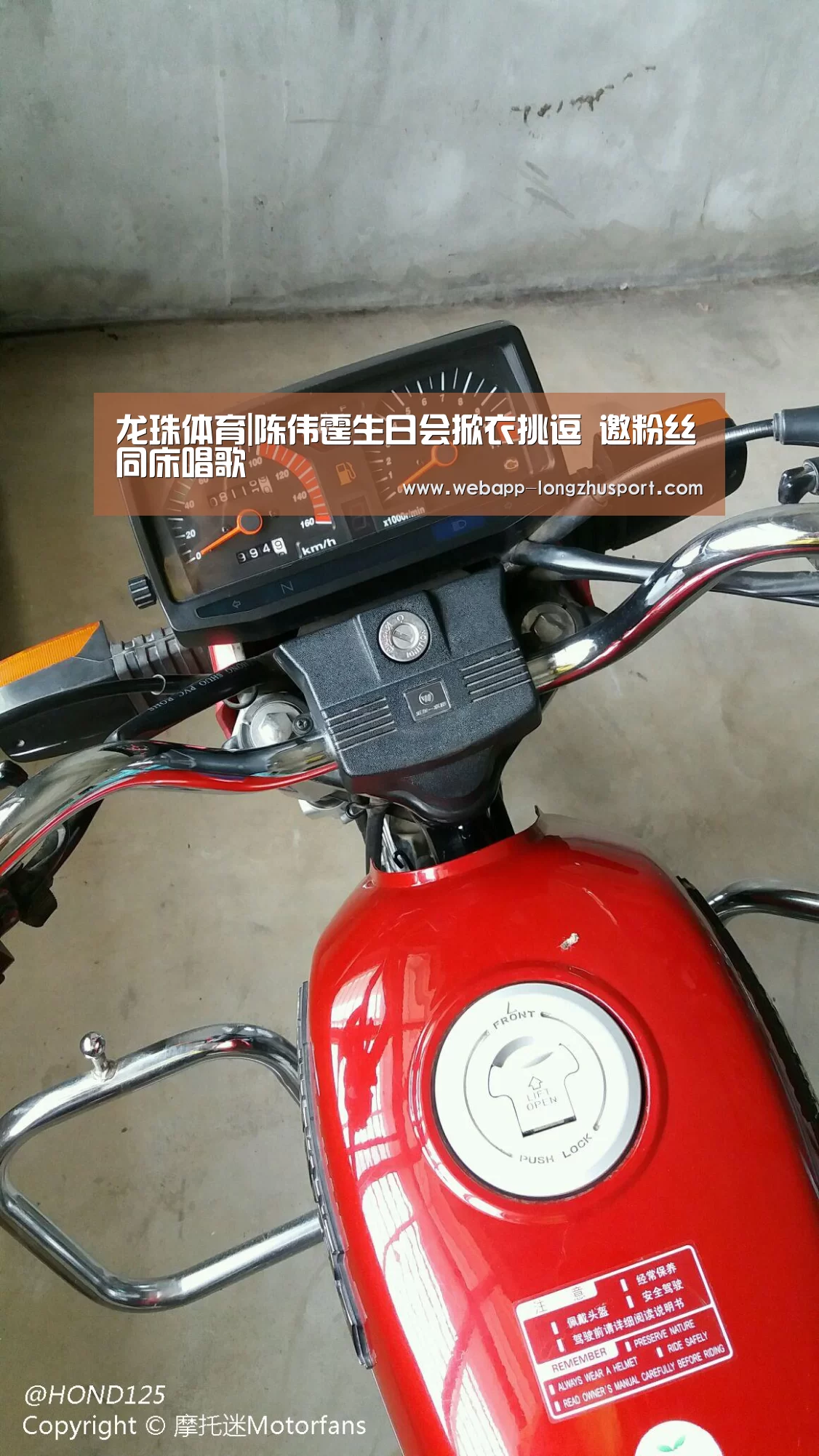龙珠体育